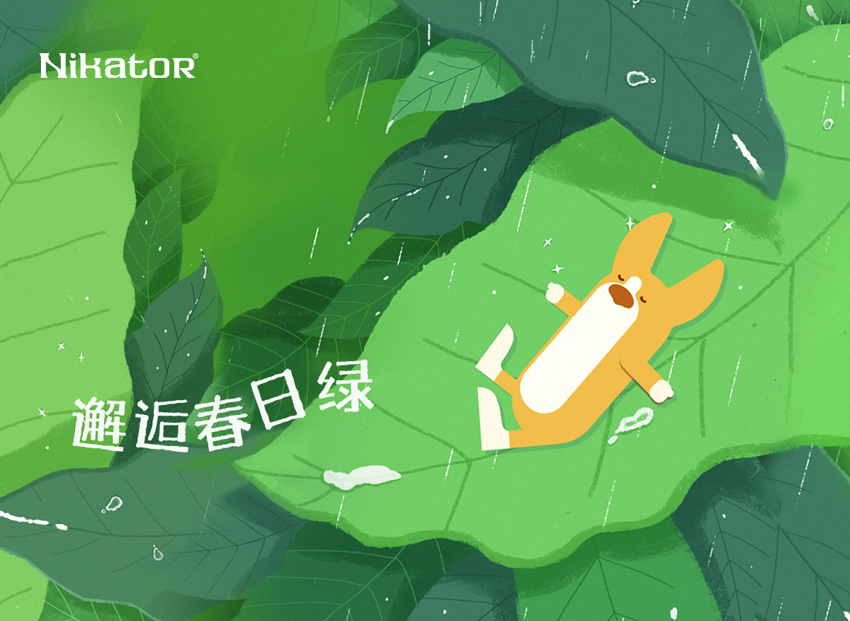 邂逅春日绿
